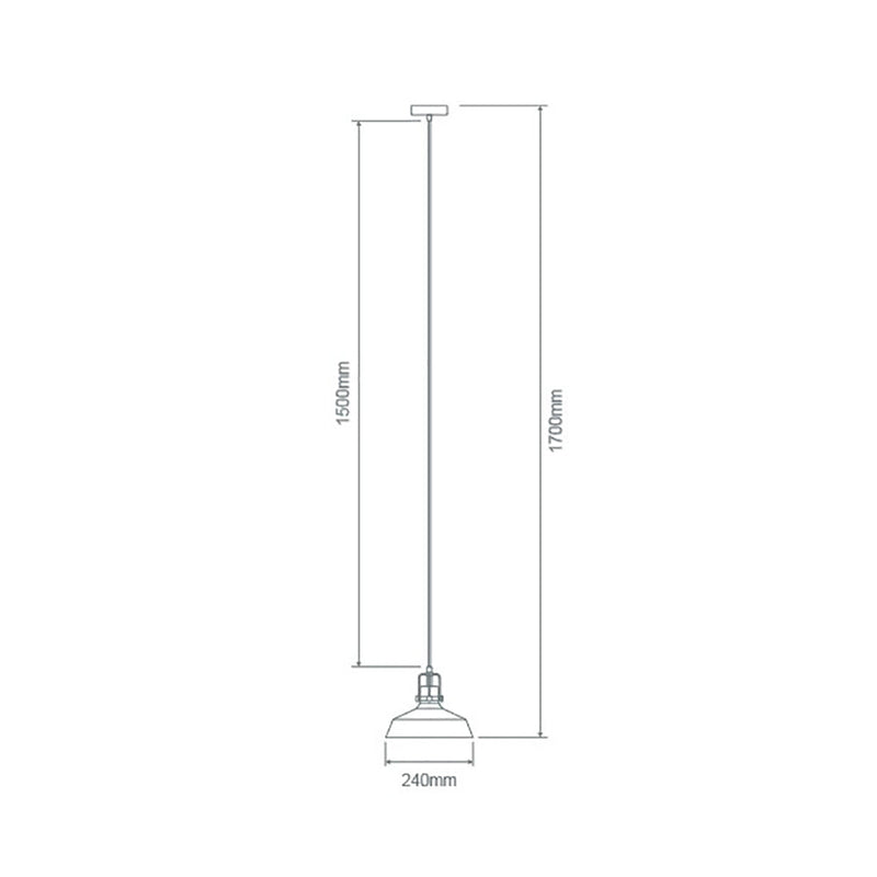 Hoist Pendant Light W240mm Clear Glass - 22731