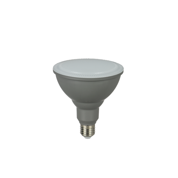 SupValue PAR38 LED Globe Grey Polycarbonate ES 16W 240V 5000K - 252005