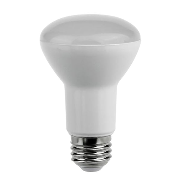 R63 LED Globe ES 8W 240V Frosted Plastic 3000K - R63L1B